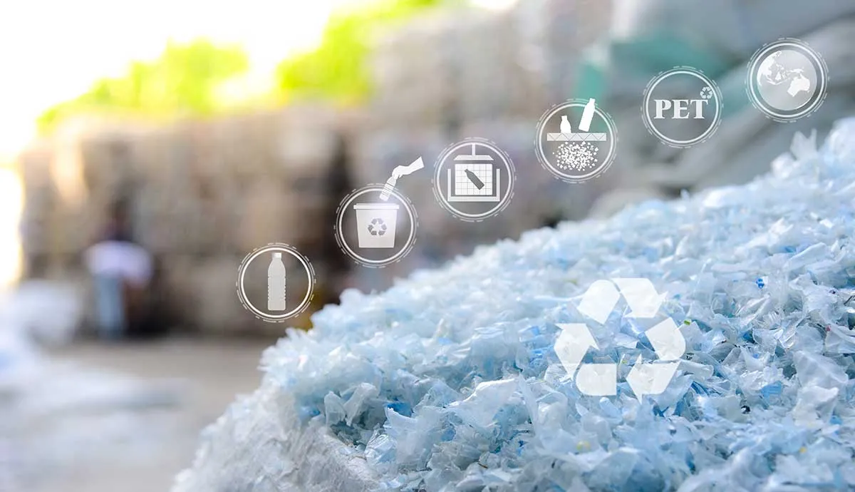 Recycled chips