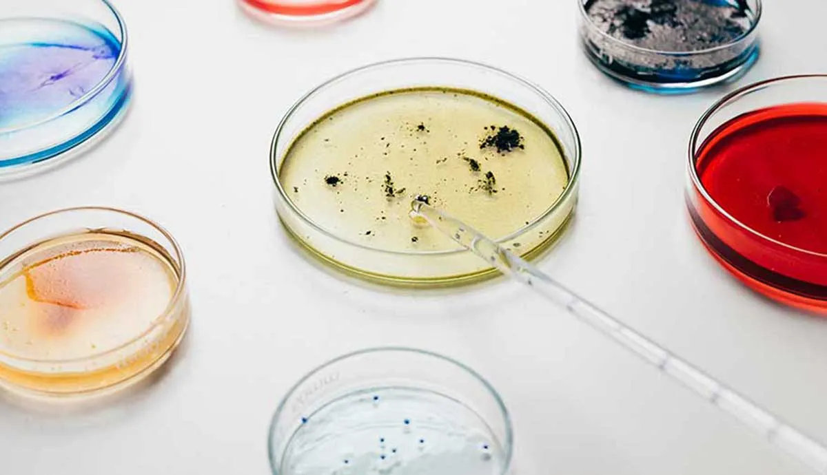 Microbe Growth